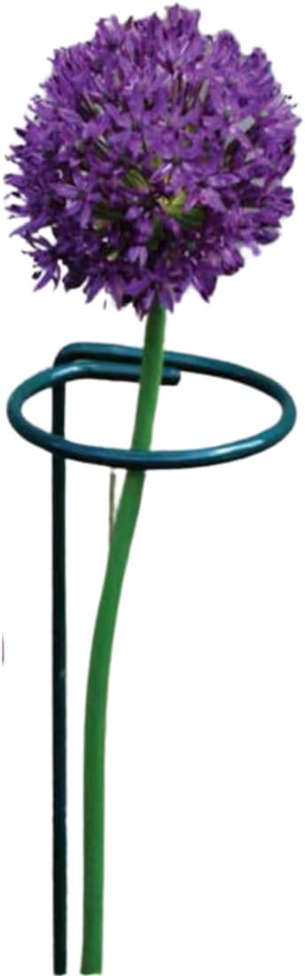 Suas Plantas Mais Grandiosas e Vivas - Suportes Canto do Jardim™ (Perfeito para Orquídeas, Flores e Rosas)