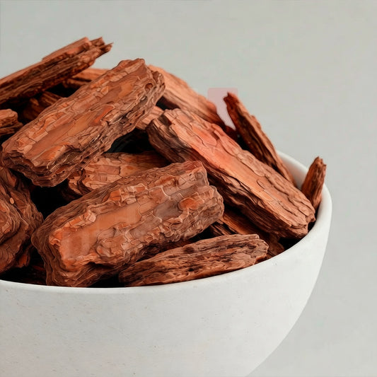 Casca de Pinus Natural para Jardim