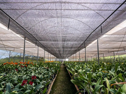 Sombrite 50% ideal para manter suas plantas fortes mesmo no calor ☀️