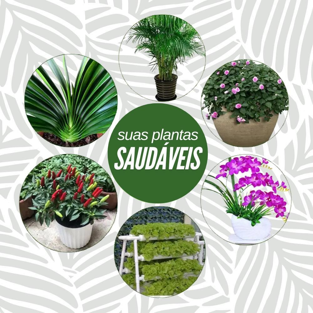 Bastonetes Cresça-Mais - Kit com 30 Bastões