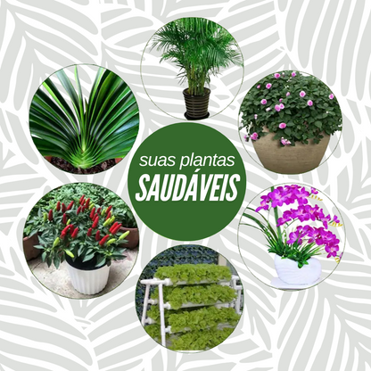 Bastonetes Cresça-Mais - Kit com 30 Bastões