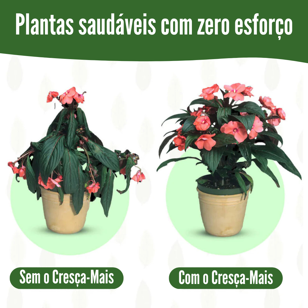 Bastonetes Cresça-Mais - Kit com 30 Bastões