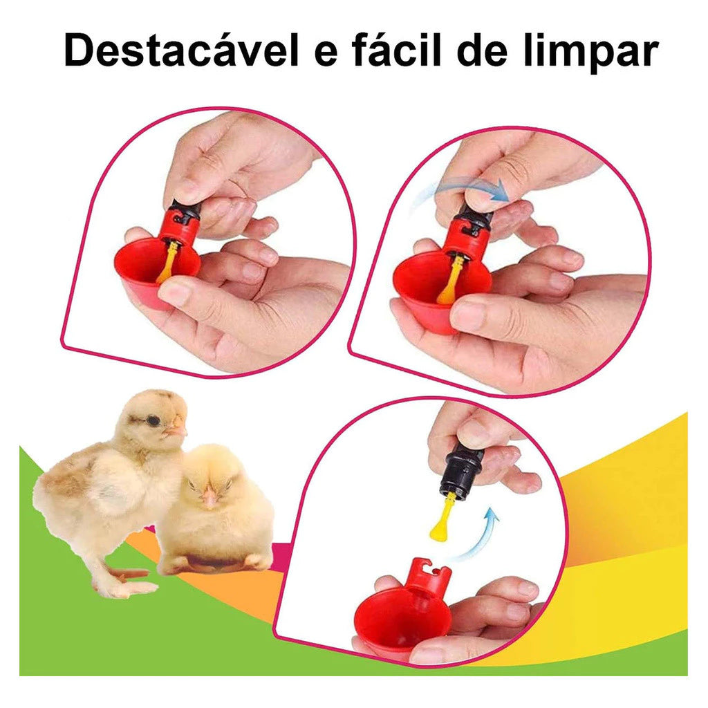 Bebedouro Automático para Aves – Água Limpa sem Desperdício