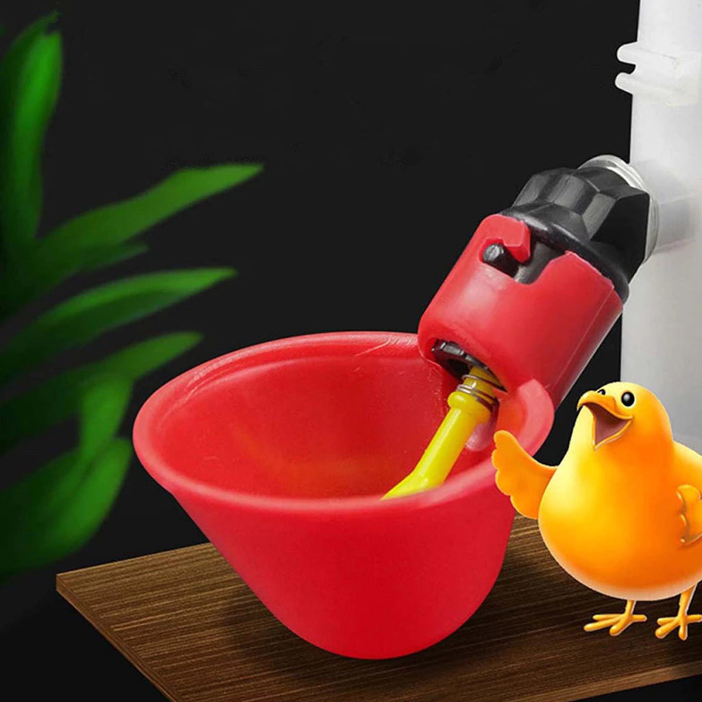 Bebedouro Automático para Aves – Água Limpa sem Desperdício