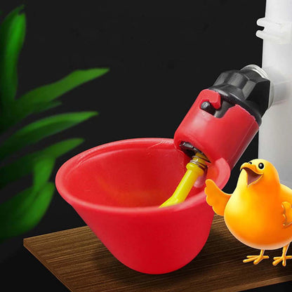 Bebedouro Automático para Aves – Água Limpa sem Desperdício