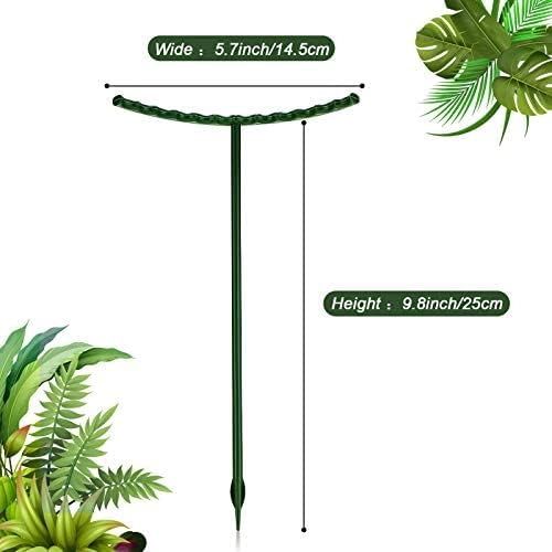 Gaiola de suporte de plantas para Crescimento Saudável Canto do Jardim