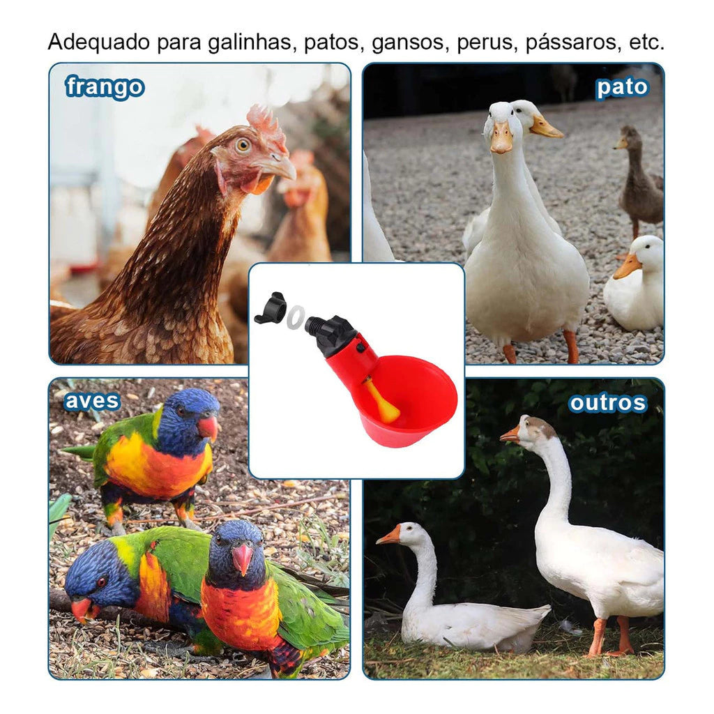 Bebedouro Automático para Aves – Água Limpa sem Desperdício