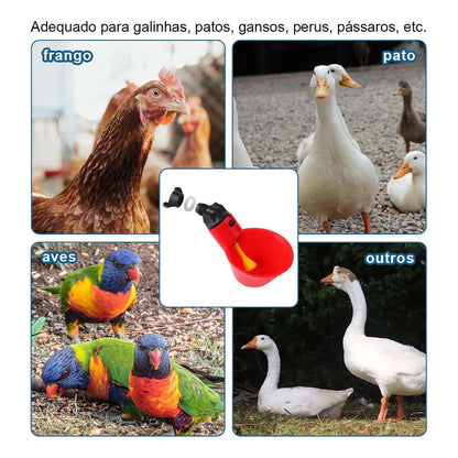 Bebedouro Automático para Aves – Água Limpa sem Desperdício