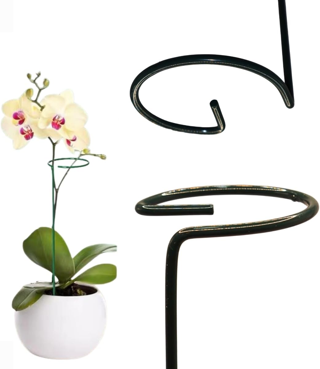 Suas Plantas Mais Grandiosas e Vivas -  Suportes Canto do Jardim™ (Perfeito para Orquídeas, Flores e Rosas)