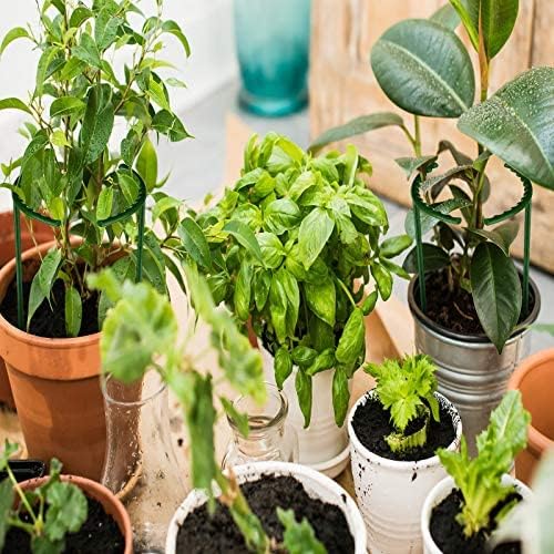 Gaiola de Suporte para Plantas Ajustável