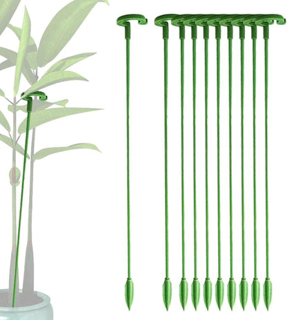 Suportes Canto do Jardim™ - Suas Plantas Mais Grandiosas e Vivas