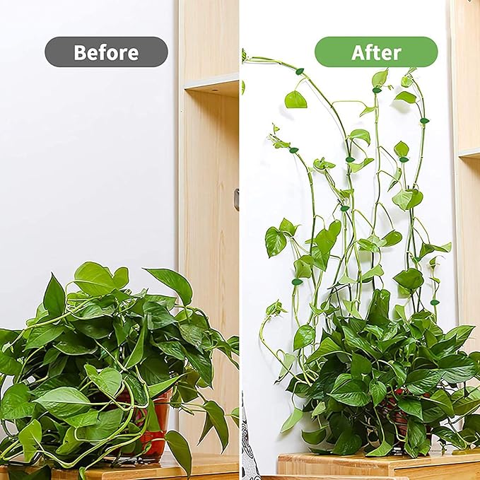 Suporte planta - pregador adesivo - Canto do Jardim