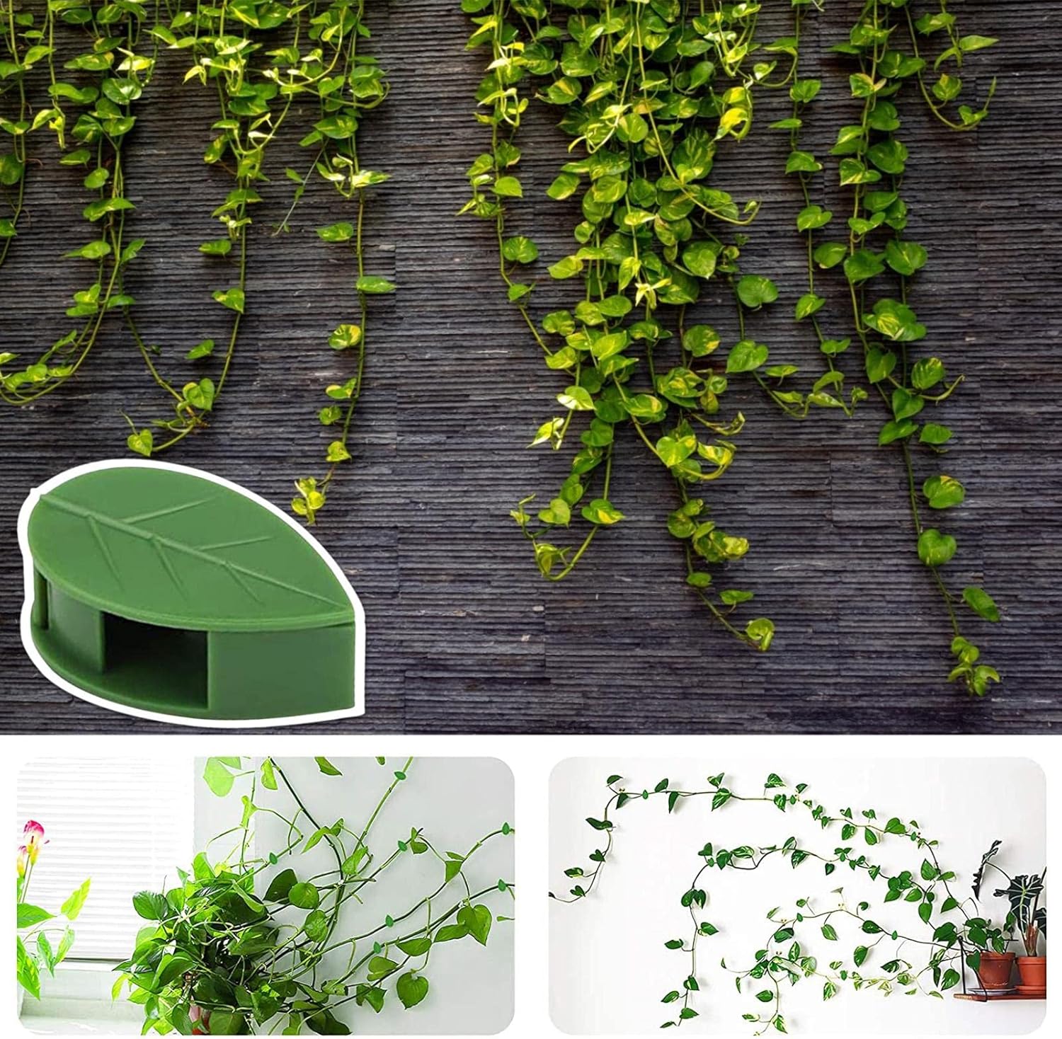 Suporte planta - pregador adesivo - Canto do Jardim