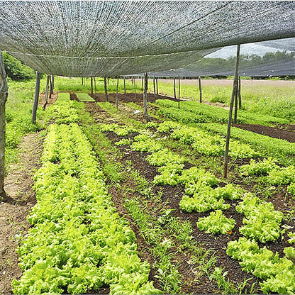 Sombrite 50% ideal para manter suas plantas fortes mesmo no calor ☀️