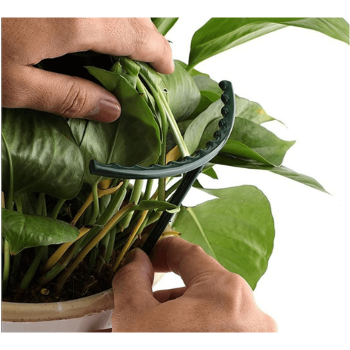 Gaiola de suporte de plantas para Crescimento Saudável Canto do Jardim