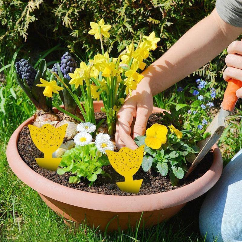 Armadilha para Insetos - 10 unidades Canto do Jardim™