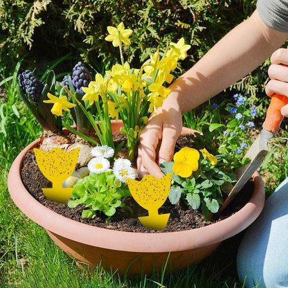 Armadilha para Insetos - 10 unidades Canto do Jardim™