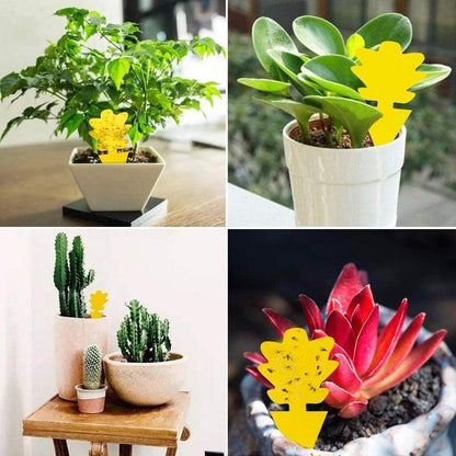 Armadilha para Insetos - 10 unidades Canto do Jardim™