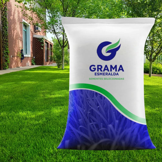 Sementes de Grama Premium - Canto do Jardim™ - Grama Esmeralda- 