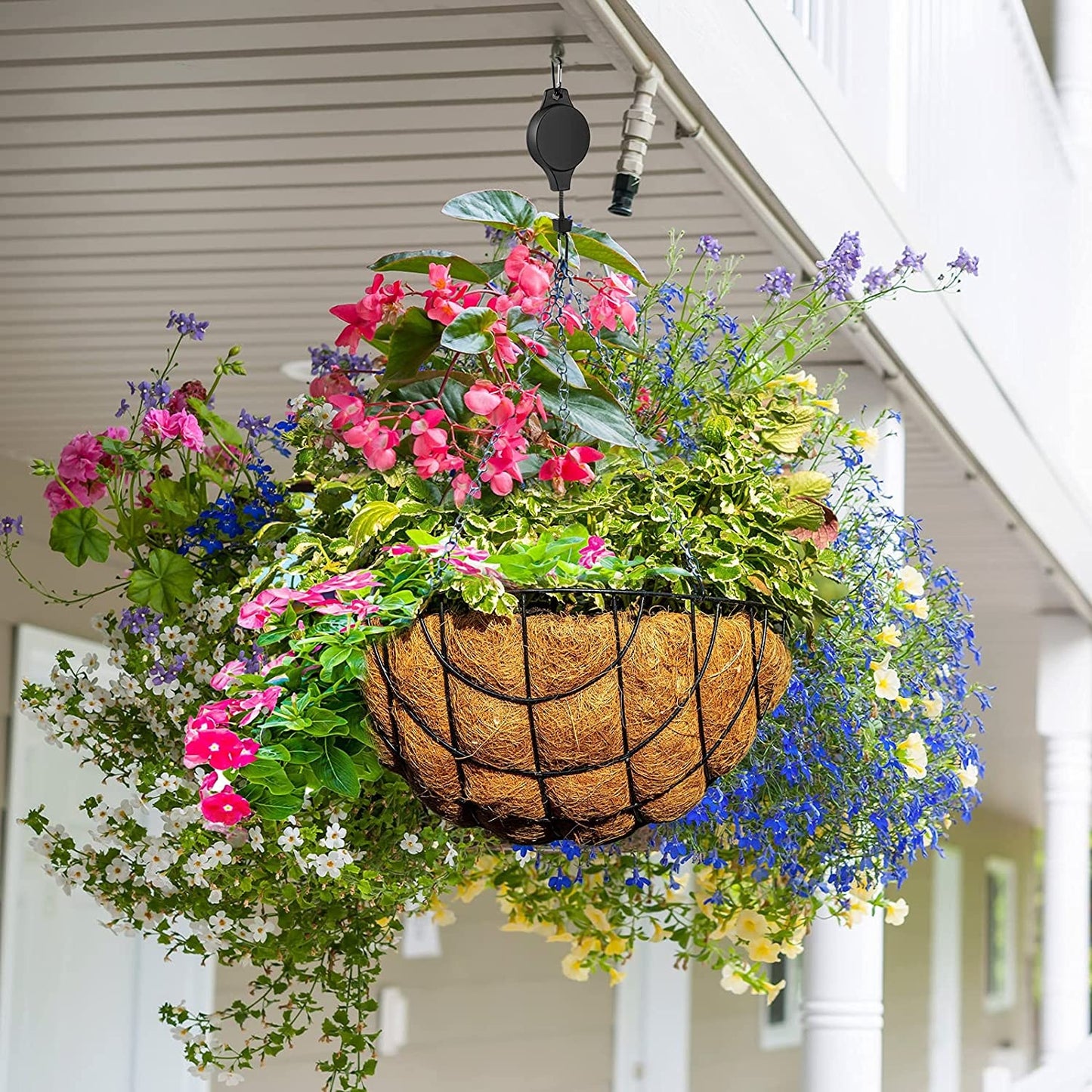 Kit de Gancho Retrátil Para Plantas - Canto do Jardim™