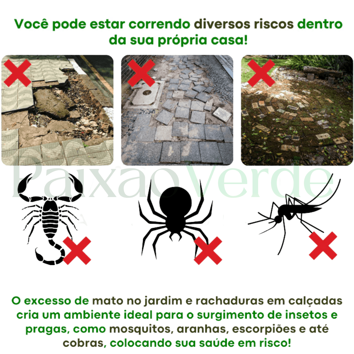 Molde para piso de concreto Canto do Jardim™