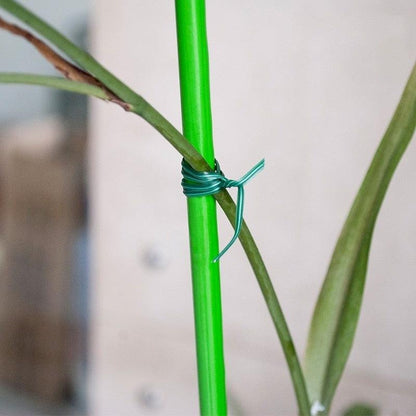 Rolo 50 metros De Ligação Para suportes de Plantas multifuncional Ecológico - Canto do Jardim™ (Compre 1, Leve 2)