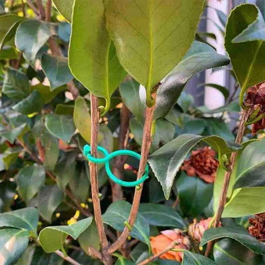Suportes Clipes De Cintas Para Plantas  - Canto do Jardim