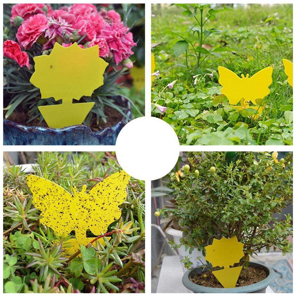 Armadilha para Insetos - 10 unidades Canto do Jardim™