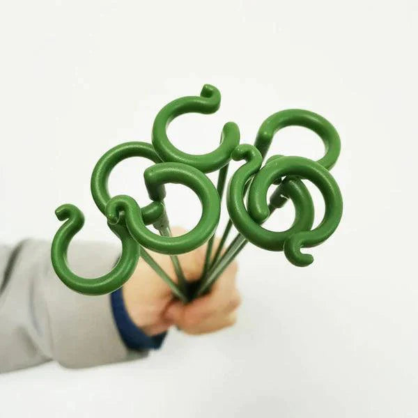 Suportes Canto do Jardim™ - Suas Plantas Mais Grandiosas e Vivas