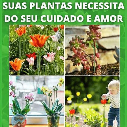 Suportes Canto do Jardim™ - Suas Plantas Mais Grandiosas e Vivas